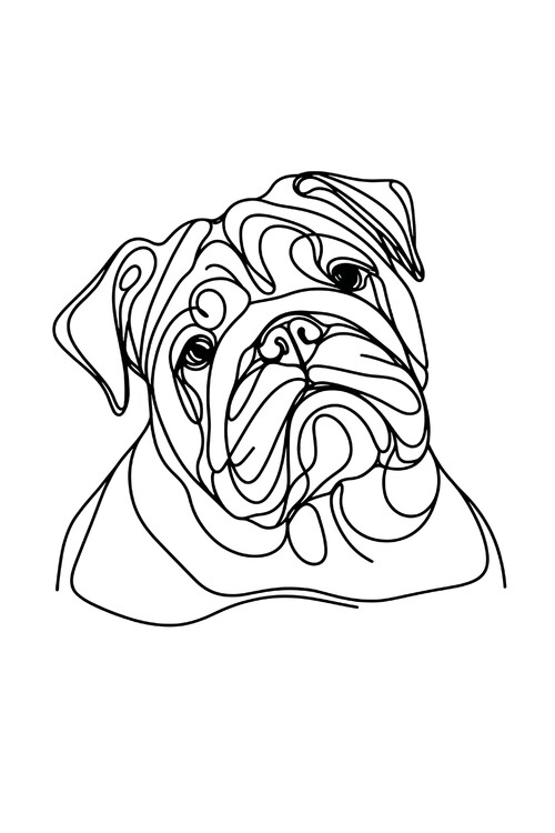 Poster English Bulldog Dog Line Art Drawing