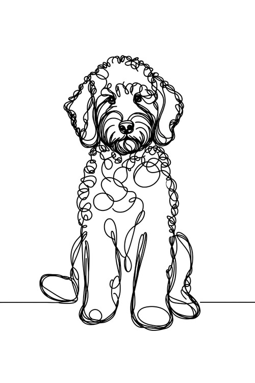 Poster Labradoodle Dog Line Art Drawing