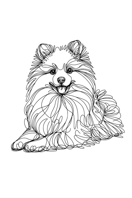 Poster Pomsky Dog Line Art Drawing