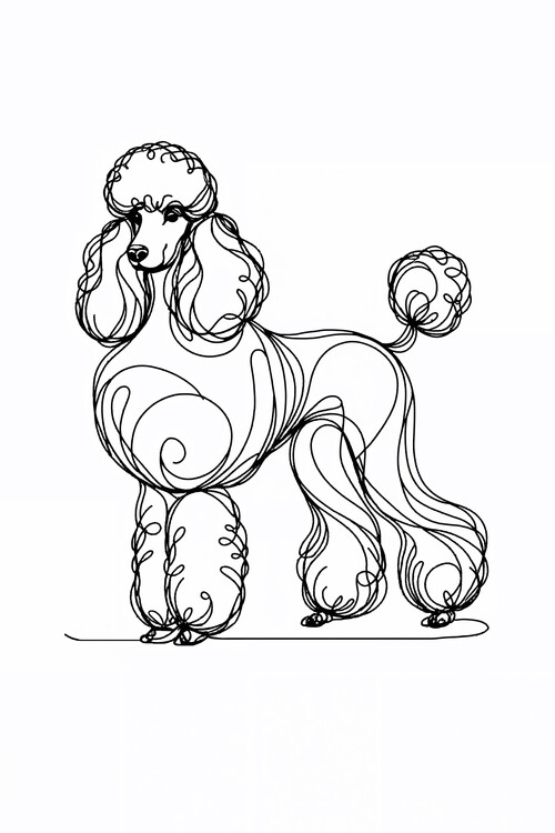 Poster Poodle Dog Line Art Drawing