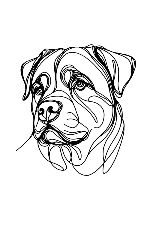 Poster Rottweiler Dog Line Art Drawing