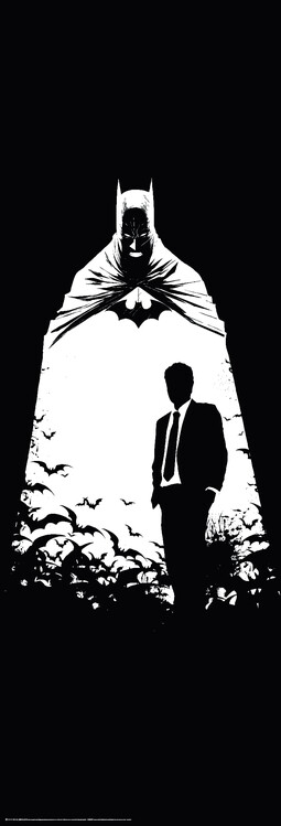 Poster Batman - Secret Identity
