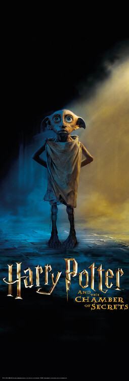 Poster Harry Potter - Dobby
