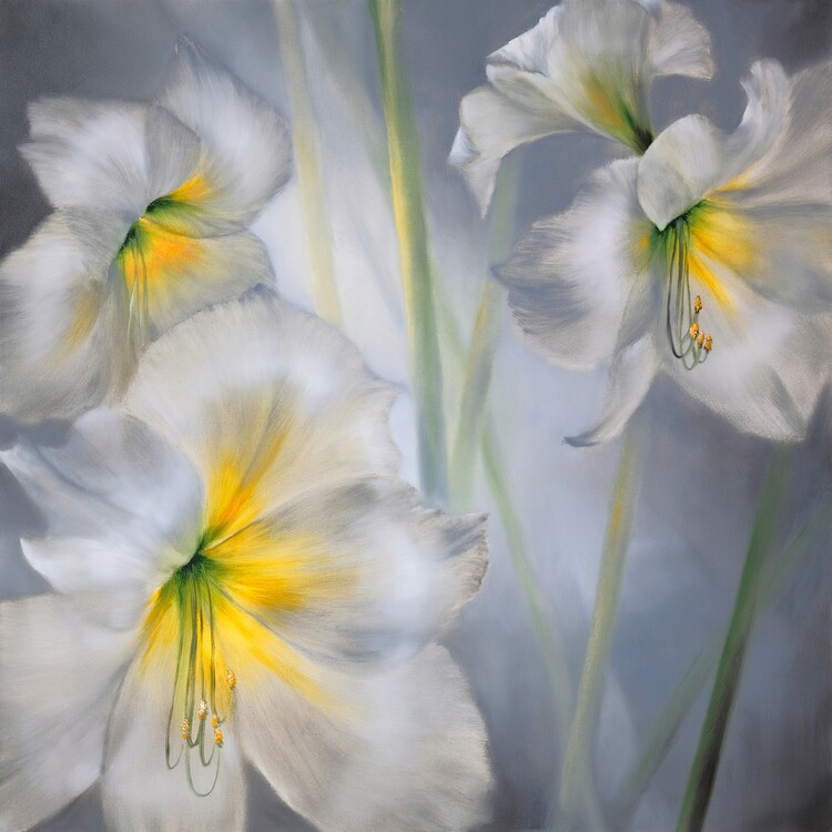 Plakat White poppies in the summer wind