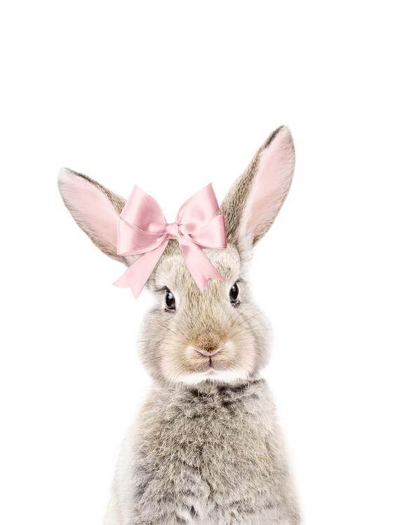 Plakát Bunny with a Bow