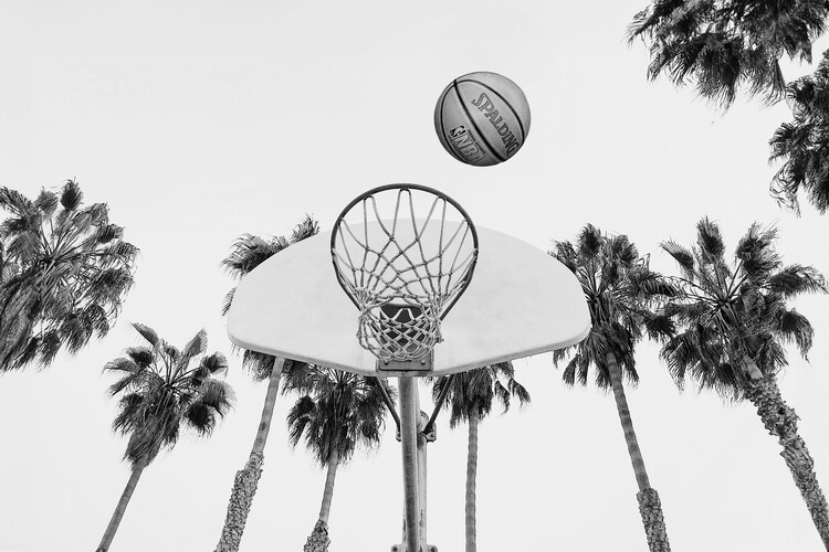 Plakat California Basketball BW