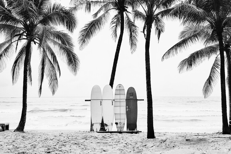 Plakat The Boards