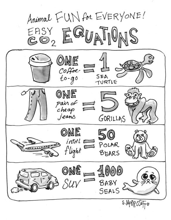 Póster CO2 Equations