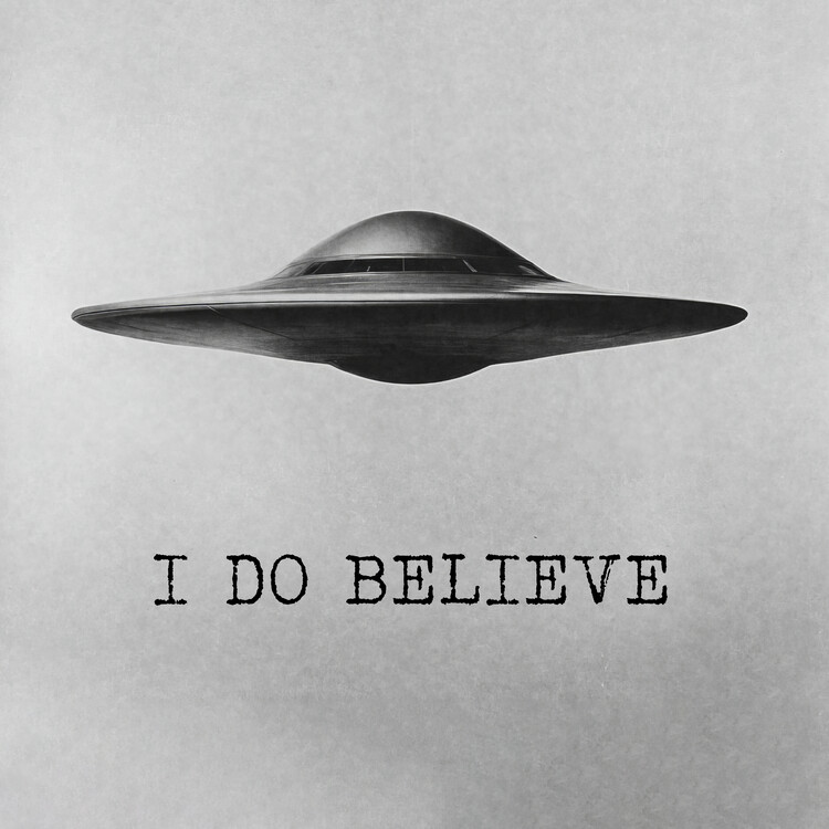 Плакат I Do Believe UFO UAP Flying Saucer