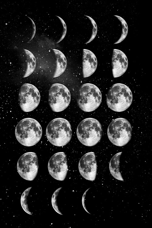 Poster Full Moon Cycle