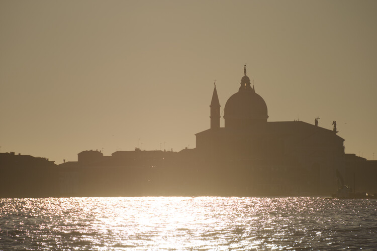 Poster Lonely Seagull