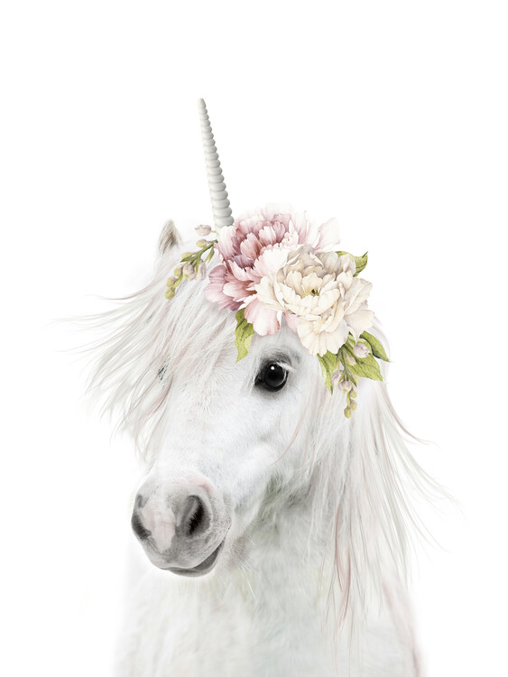 Levně Plakát, Obraz - Floral Unicorn, Lola Peacock, 30 × 40 cm