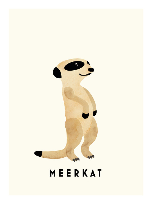 Принти на полотні Meerkat