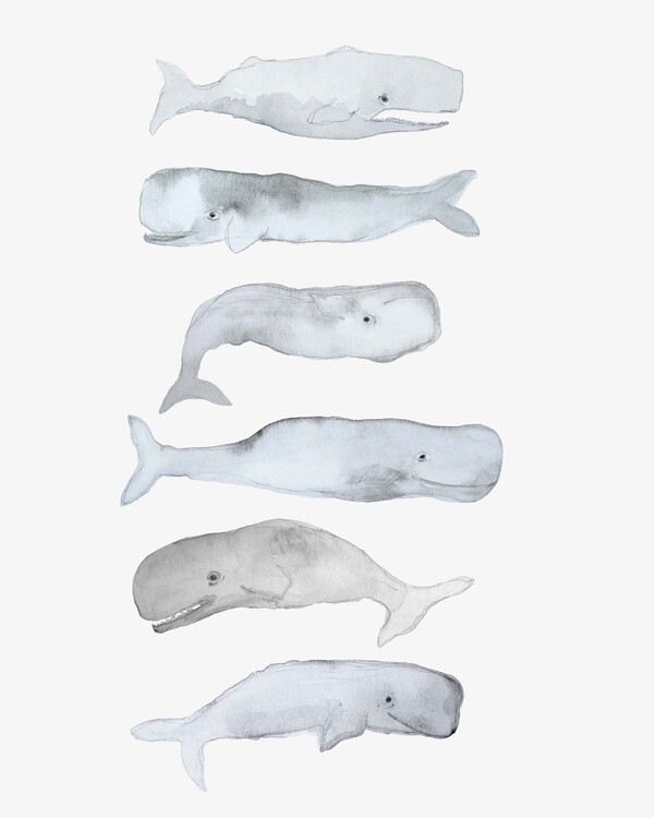 Levně Plakát, Obraz - Kids Line Whale Art, Gemma Bardot, 30 × 40 cm