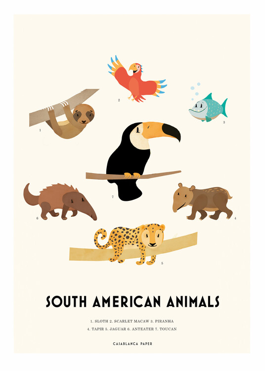 Plakat South American Animals