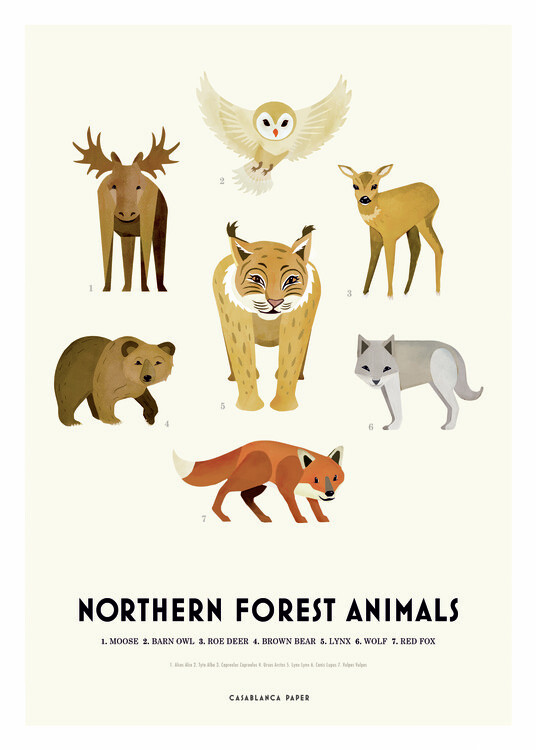 Canvas Print Northern Forest Animals