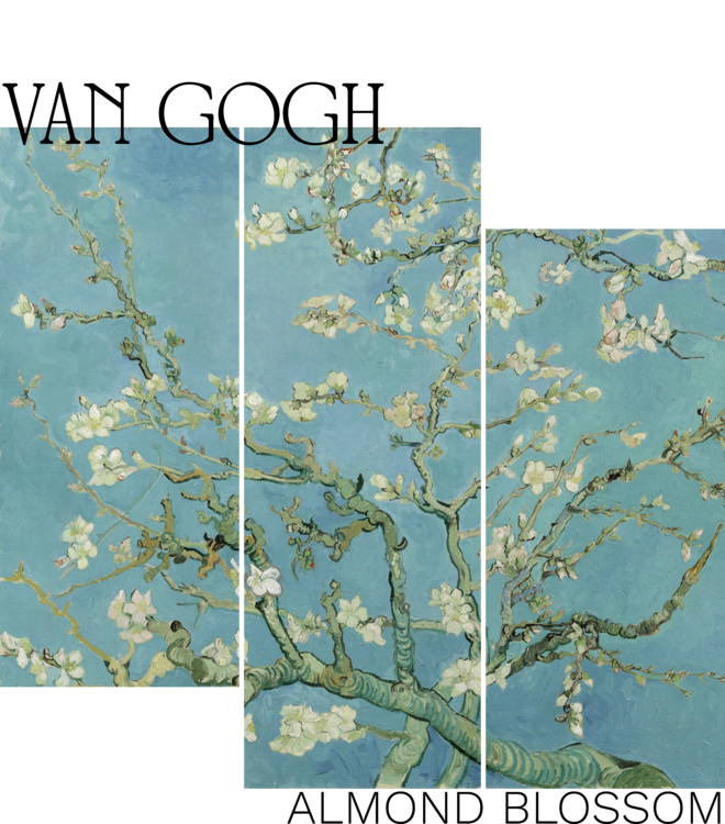 T-shirt Almond Blossom