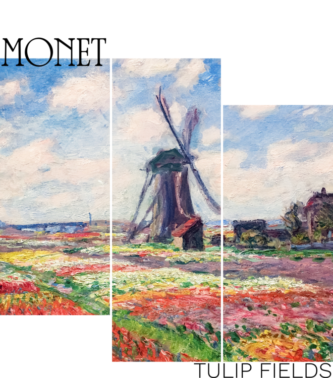 T-shirt Tulip Fields