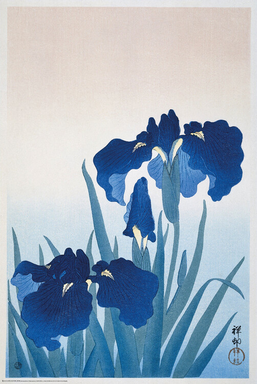 Poster Ohara Koson - Iris Flowers