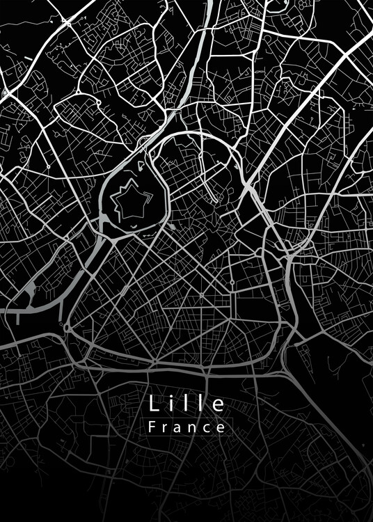 Poster Lille France City Map black