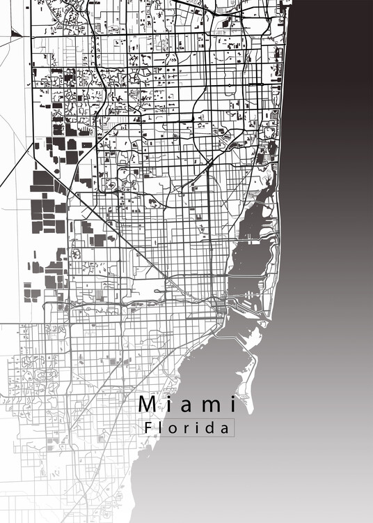 Juliste Miami Florida City Map white