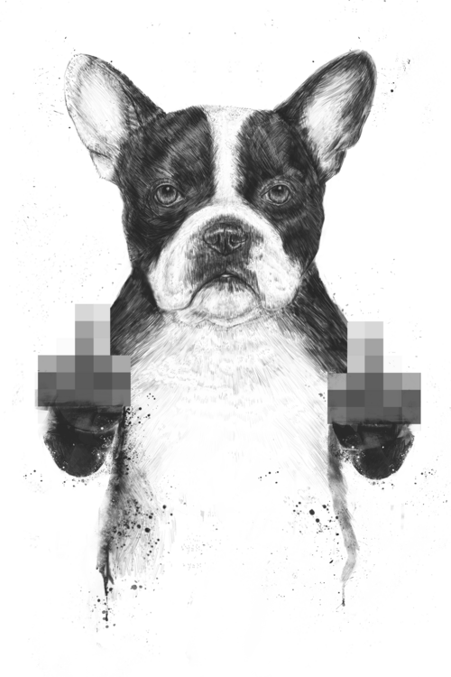 T-shirt Censored dog