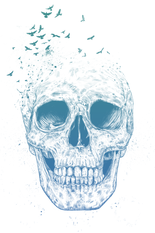 T-shirt Let them fly