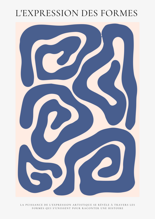 Poster Courbes infinies