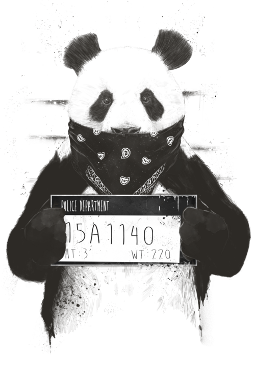 T-shirt Bad panda