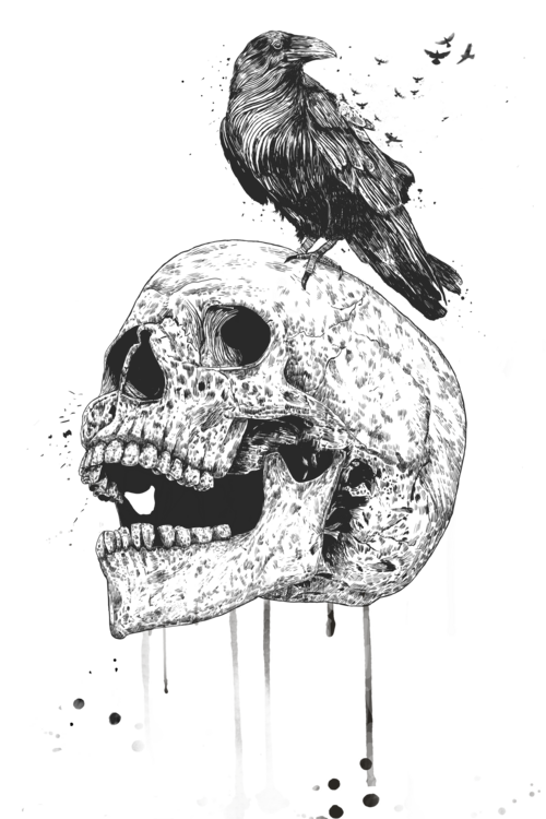 Camisola New skull