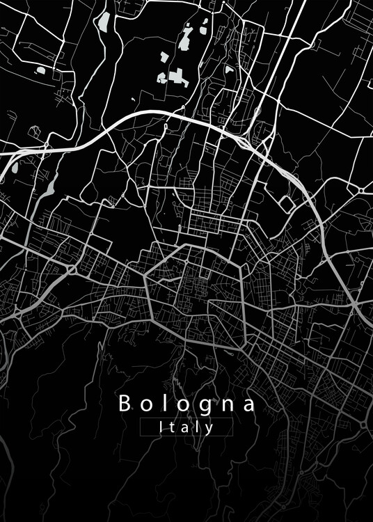 Плакат Bologna Italy City Map black