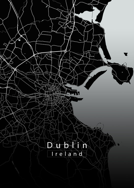 Плакат Dublin Ireland City Map black