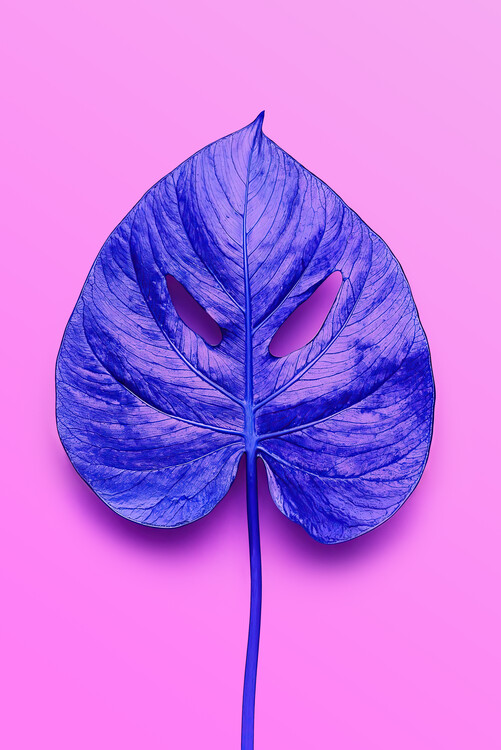 Poster Passion Leaf