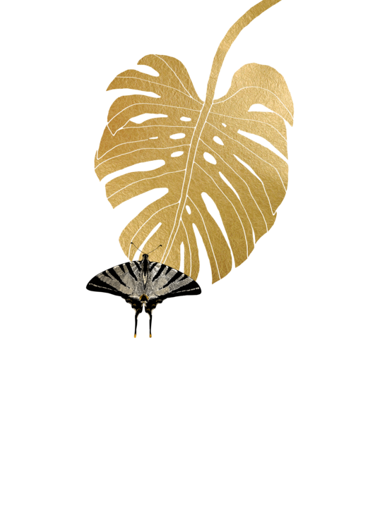T-shirt Butterfly & Monstera Leaf