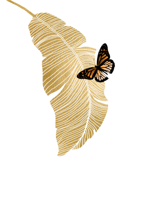 T-shirt Butterfly & Palm Leaf