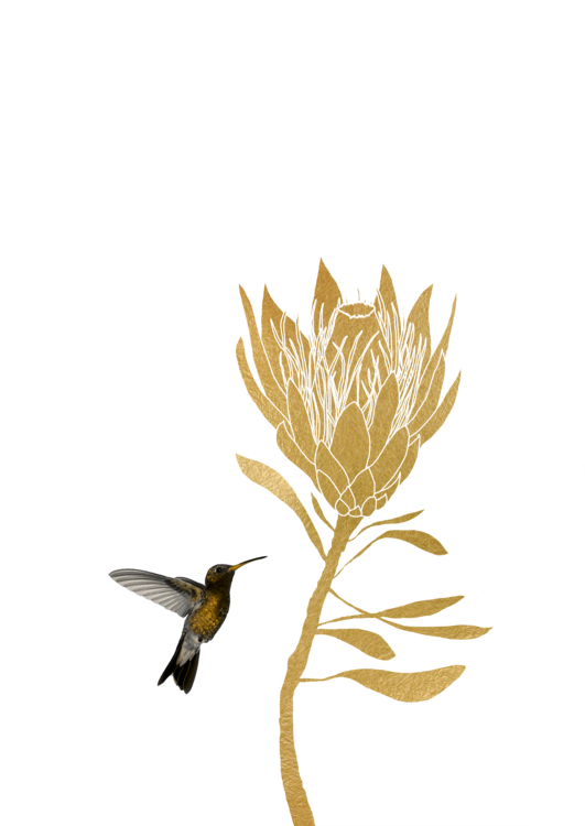 T-shirt Hummingbird & Flower I