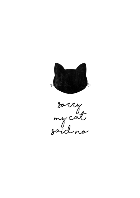 T-Shirt Sorry My Cat Said No