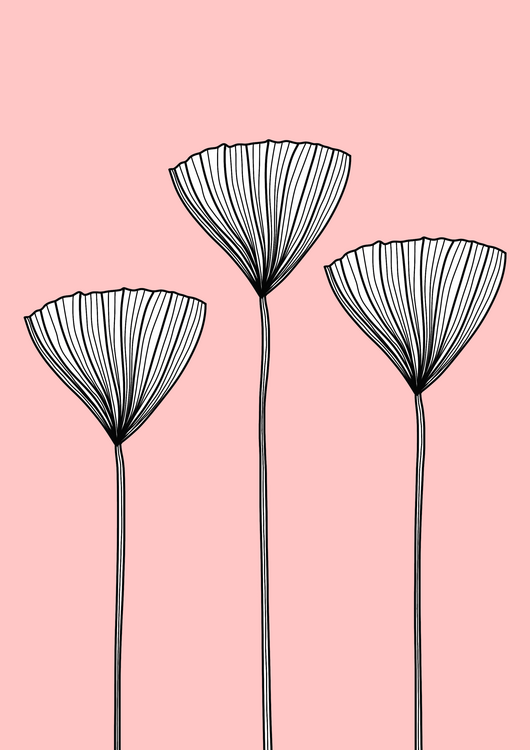 Poster Pink flower garden