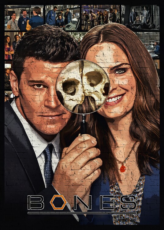 Poster Bones