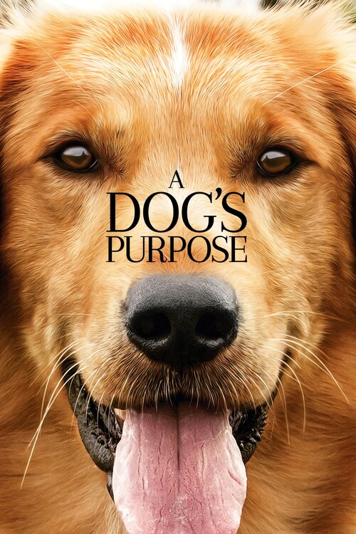 Плакат A Dog's Purpose (2017)