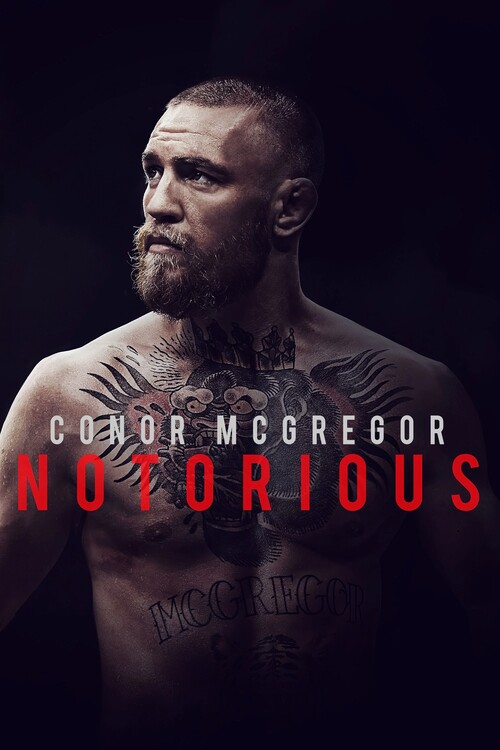 Canvas Print Conor McGregor Notorious (2017)