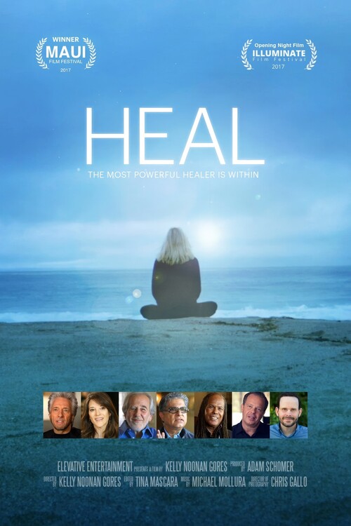 Poster Heal (2017)