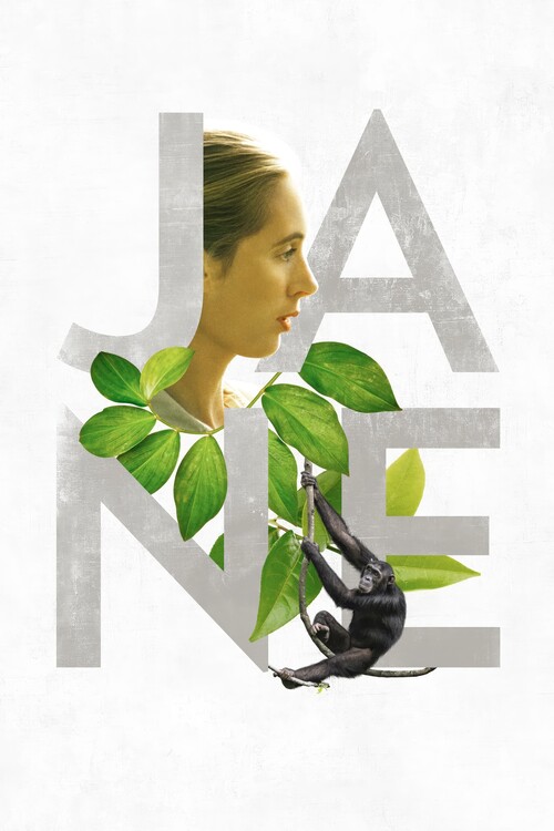 Poster Jane (2017)