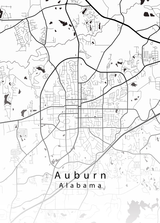 Αφίσα Auburn Alabama City Map white