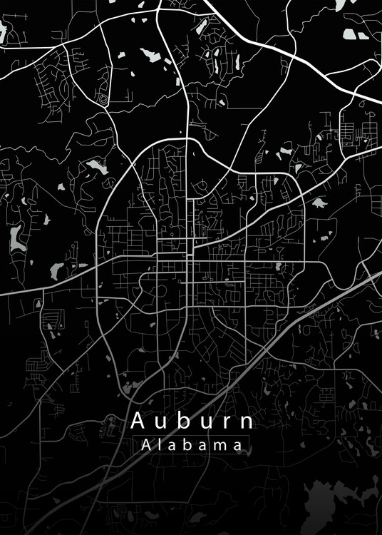 Poster Auburn Alabama City Map black
