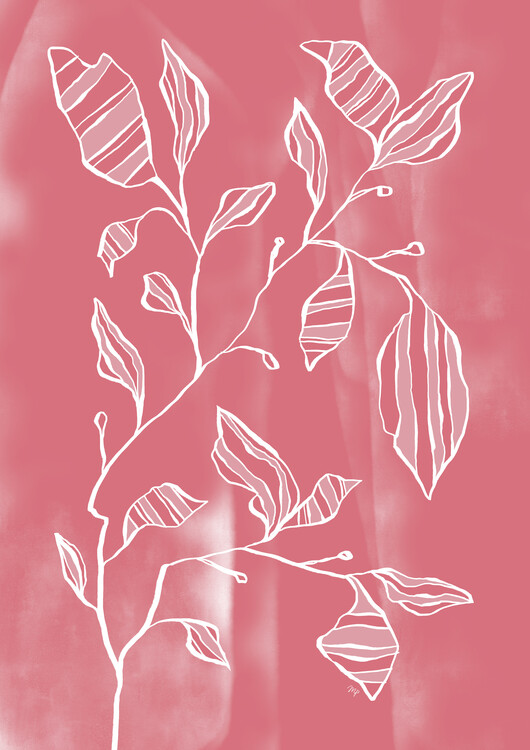 Poster Pink Stripe Plant