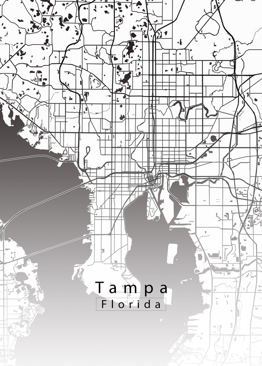Poster Tampa Florida City Map white