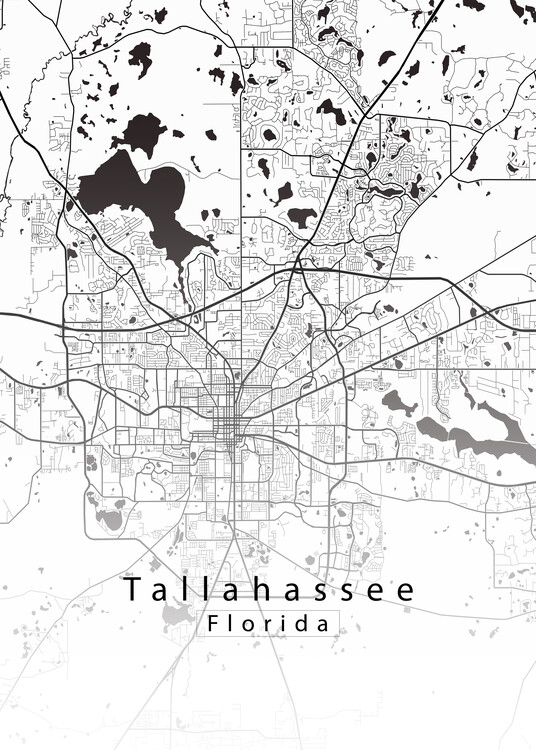 Poster Tallahassee Florida City Map white