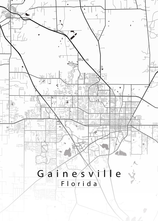 Poster Gainesville Florida City Map white