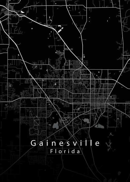 Juliste Gainesville Florida CIty Map black